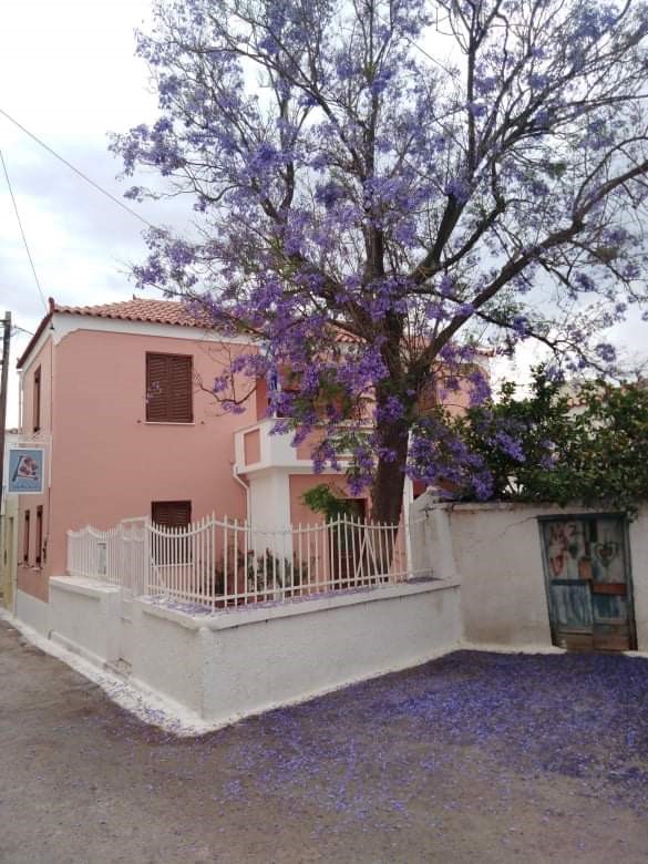 Μάθημα